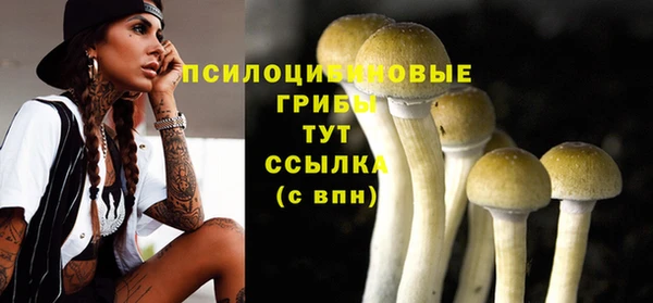 мескалин Саяногорск