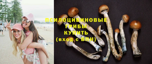 2c-b Сафоново