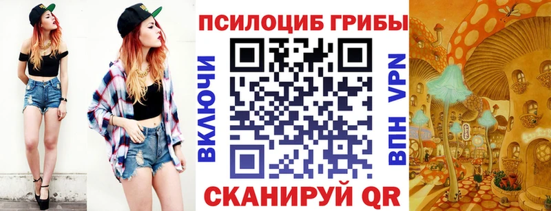 Псилоцибиновые грибы Psilocybe Семилуки